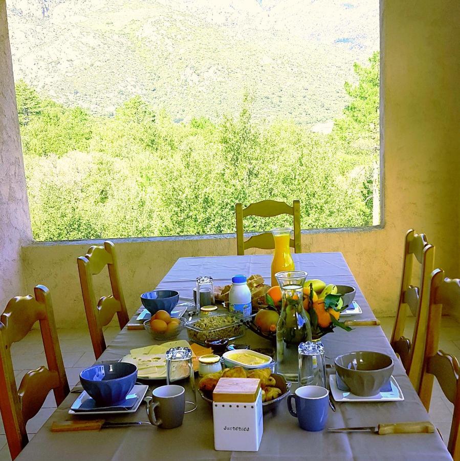 Chambre D'Hotes Mantei Castirla 外观 照片